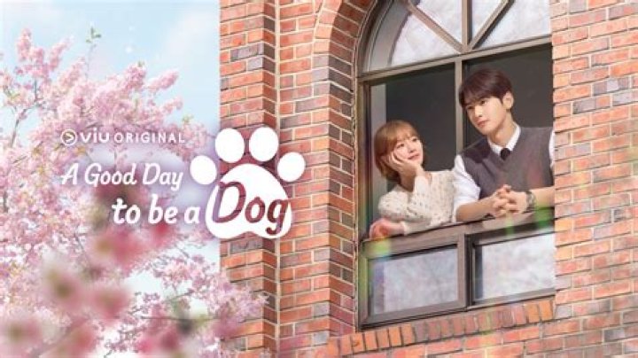 A Good Day to be a Dog Episode 14 Release Date, Recap, Cast, Plot, Review, Spoilers, Streaming, Schedule & Where To Watch? - SarkariResult