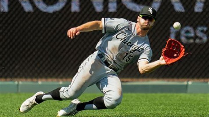 Adam Engel Net Worth: Details About Baseball, Career, Age, Home, Income - SarkariResult