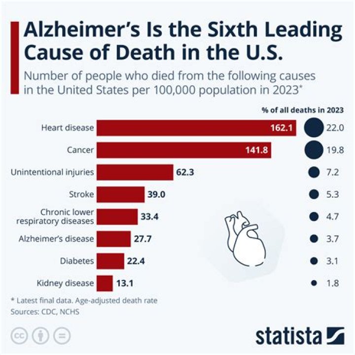 Adam Petlin's Obituary & Cause Of Death: Who Was Adam Petlin? What Happened to Adam Petlin? - SarkariResult