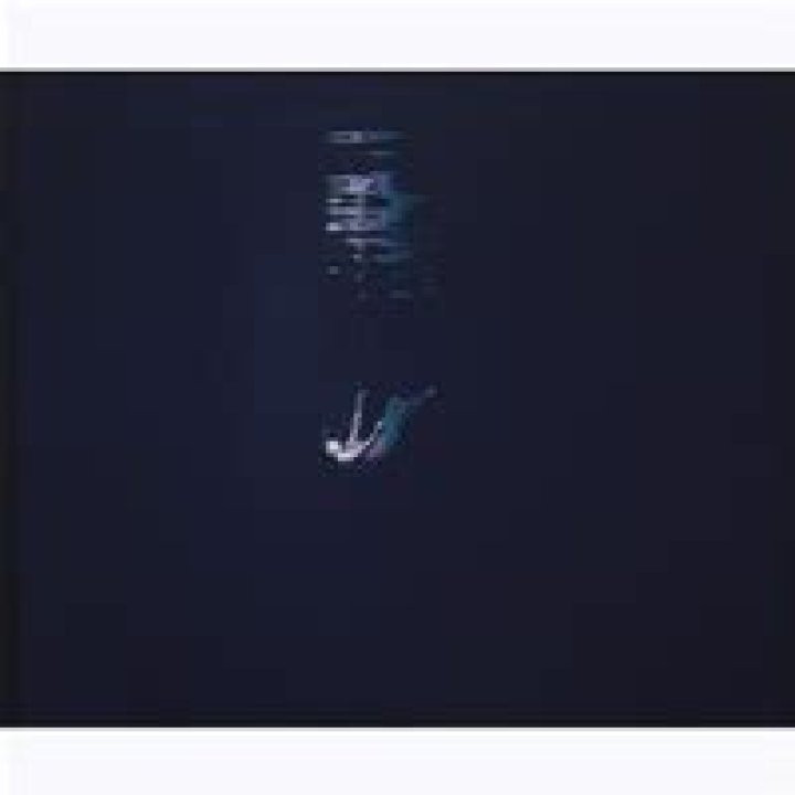 Carlos and Jason Sanchez