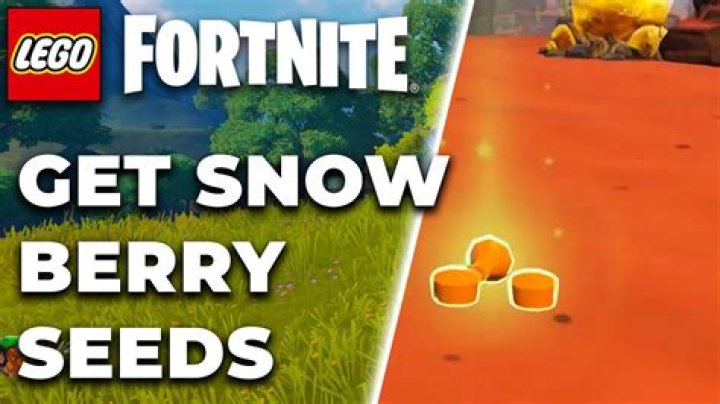 Creating SnowBerry Shake in LEGO Fortnite: Utilizing SnowBerries - SarkariResult