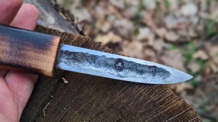 Dale Messer's Obituary & Cause Of Death, Who Was Dale Messer? What Happened to Dale Messer? - SarkariResult