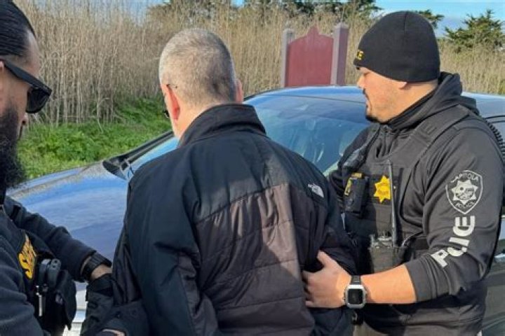 Did Theo Lengyel from Mr. Bungle Get Arrested? Why Did Theo Lengyel Face Legal Trouble? Details on Theo Lengyel's Arrest - SarkariResult