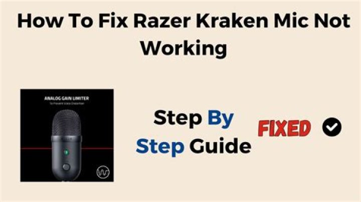 How to Fix / Solve: Mic Not Working On Rust Console - SarkariResult