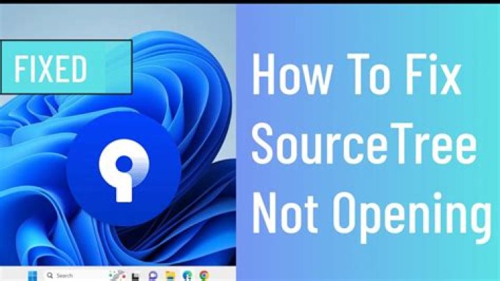 How to Fix Sourcetree Not Starting on Windows? - SarkariResult