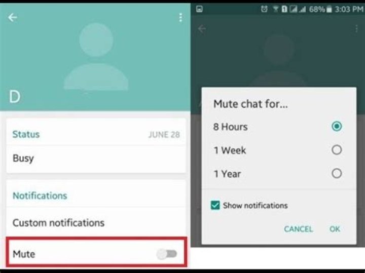 How to Fix Whatsapp Notifications Not Working? - SarkariResult