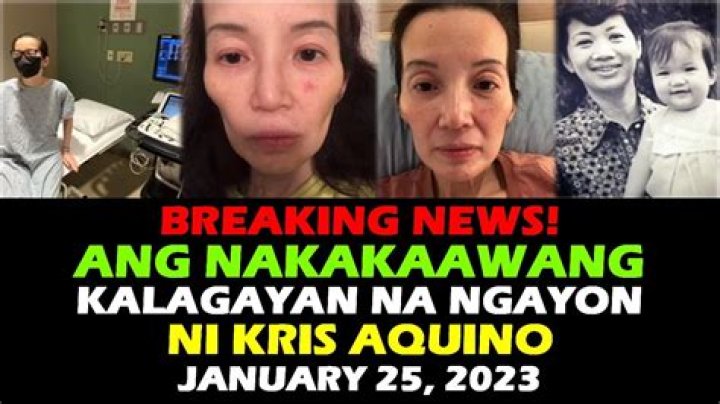 Kris Aquino Net Worth: Career, Family, Age, Income, Wiki, Bio, All You Need to Know - SarkariResult