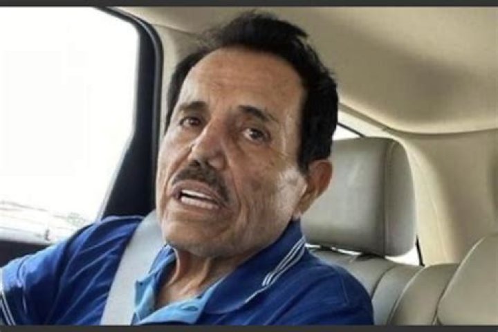 Lewis Mayo Net Worth: Career, Home, Age, Income, All You Need to Know - SarkariResult