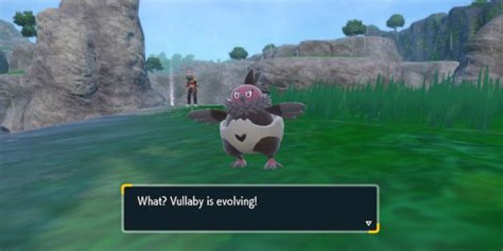Pokemon Scarlet & Violet What is Vullaby? How to Get & Evolve Vullaby? - SarkariResult