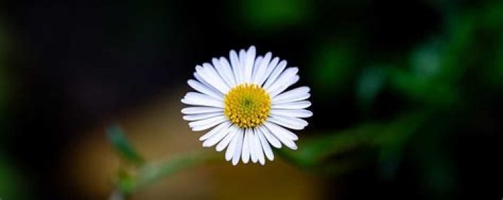 What Happened To Female Postdoctoral Student?: Yifan Liu Suicide - SarkariResult