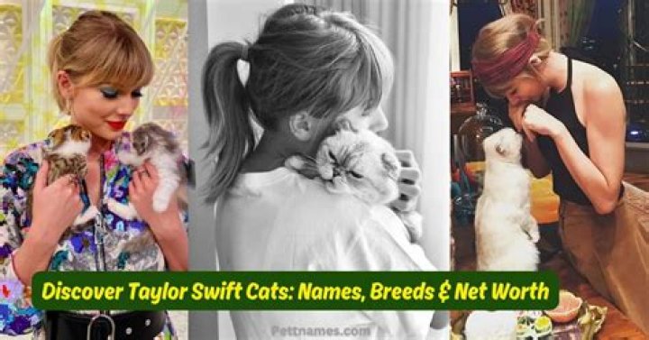 What Types of Cats Does Taylor Swift Own? What Are Taylor Swift's Cats' Names? How Many Cats Does Taylor Swift Have? - SarkariResult